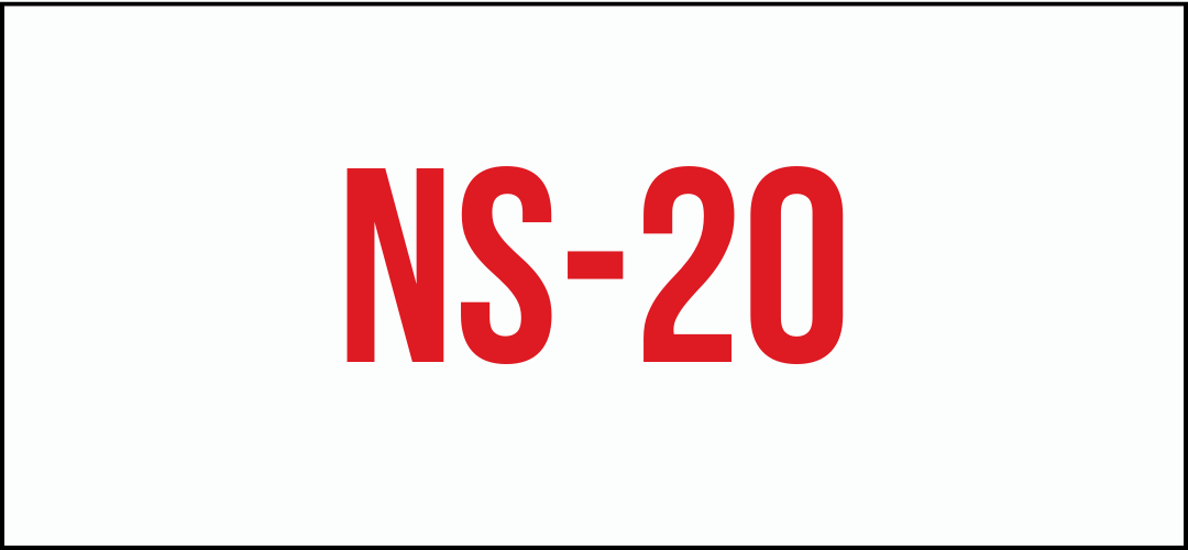 NS-20
