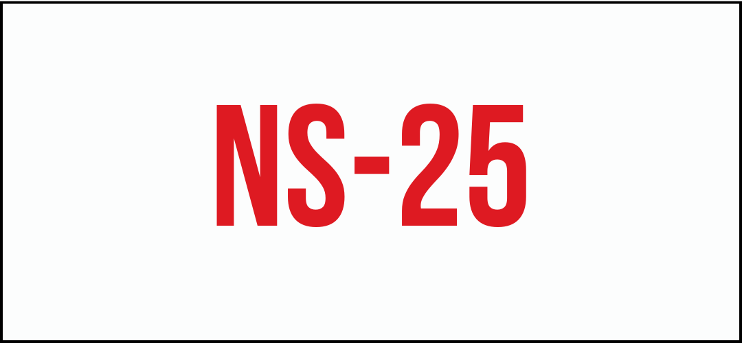NS-25